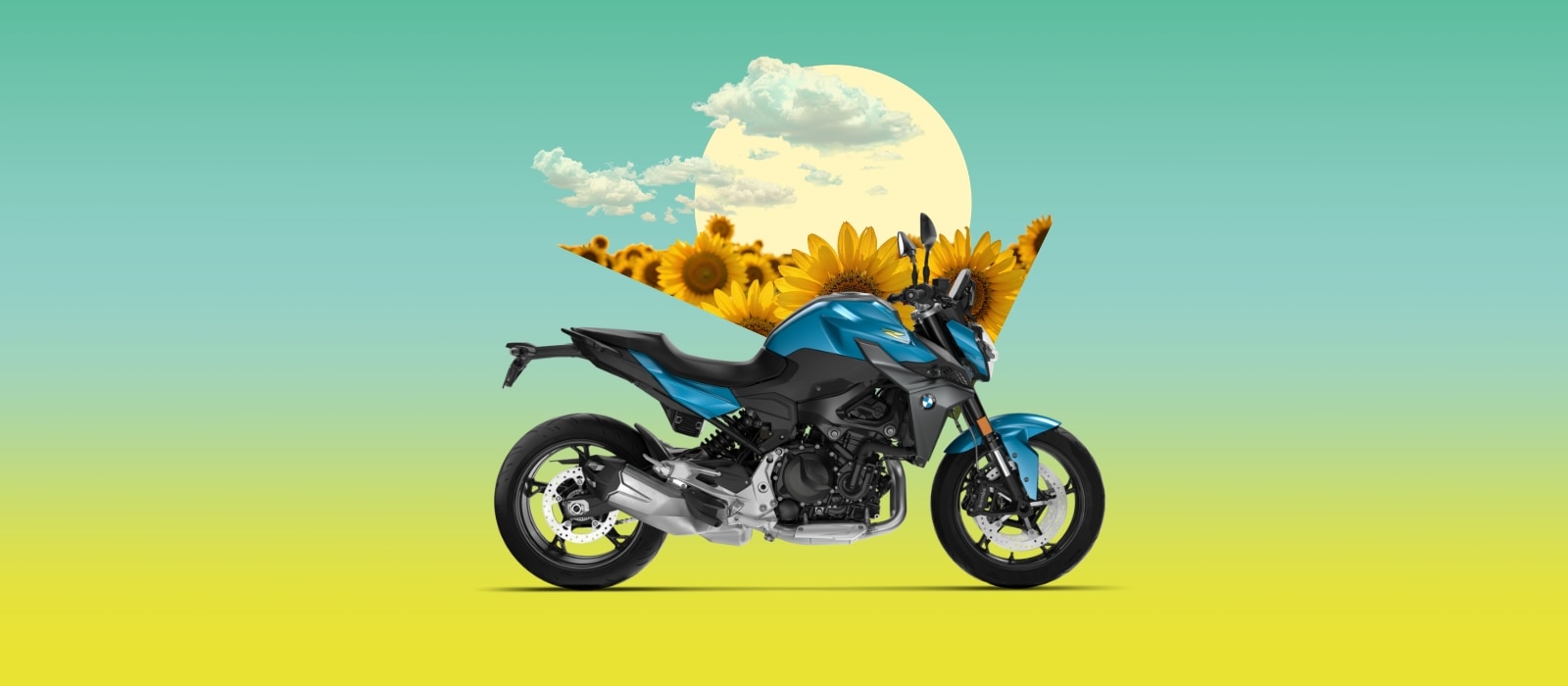 BMW F 900 R SHIFTER EDITION