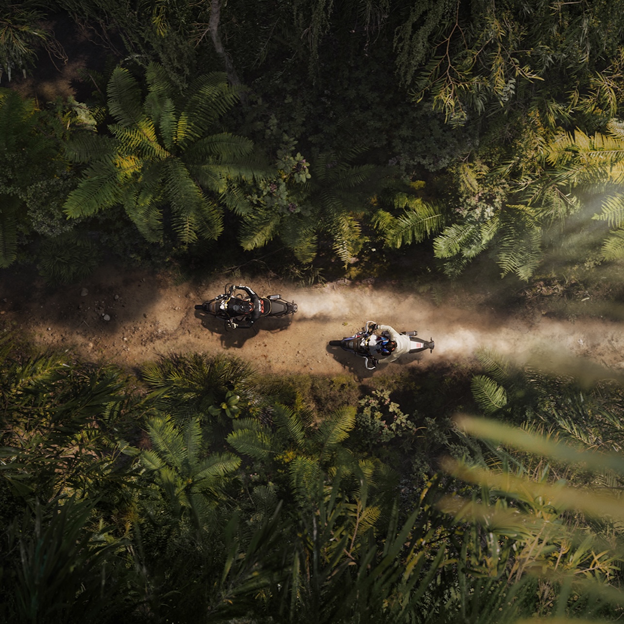 Découvrez la nouvelle BMW F 450 GS.