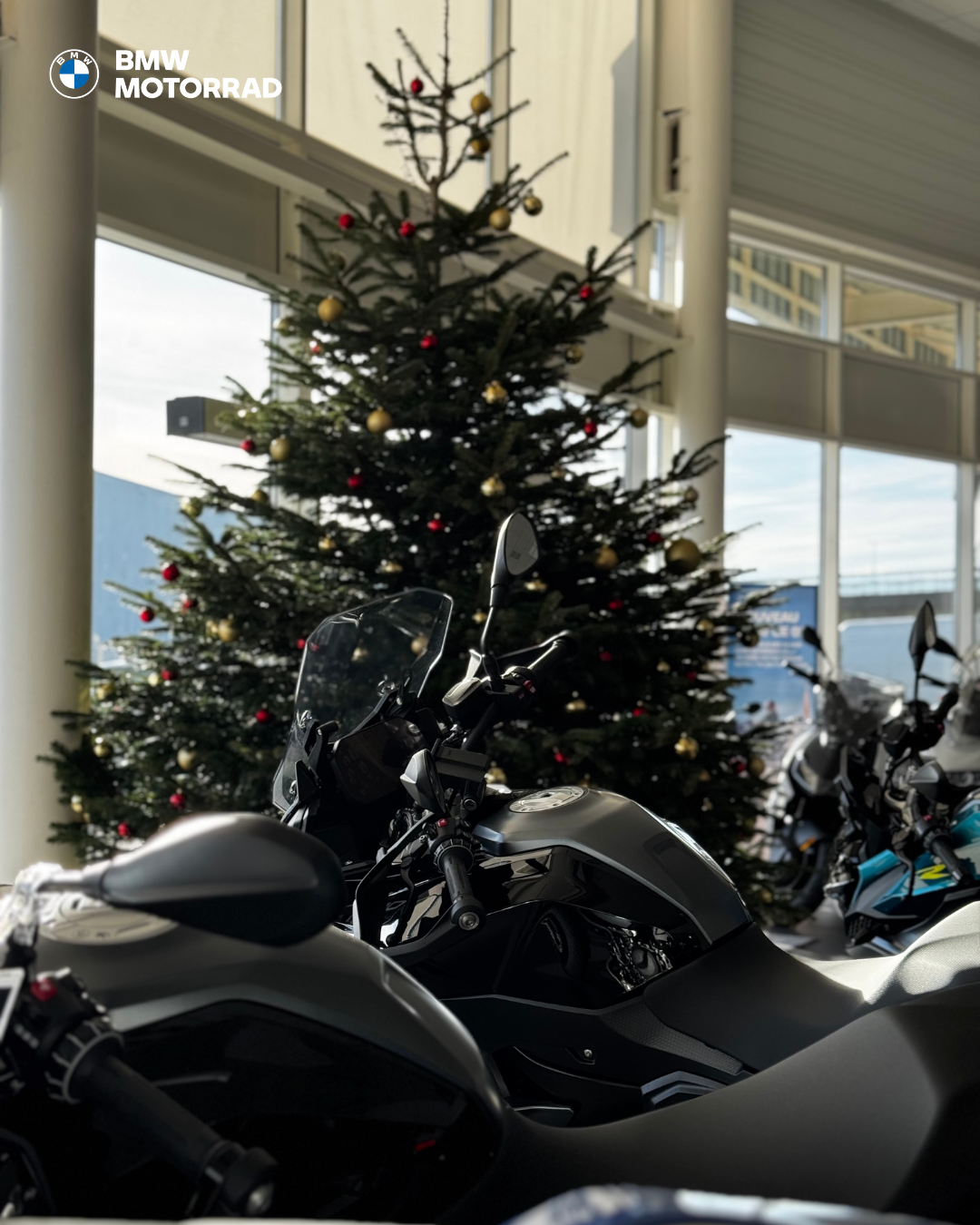 NOËL DUPONT MOTO.