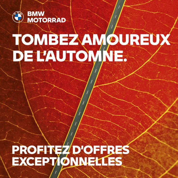 Tombez amoureux de l’automne.