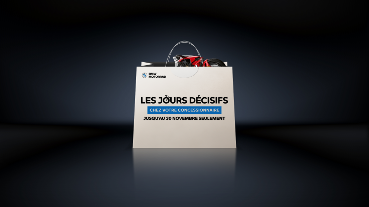 LES JOURS DÉCISIFS.