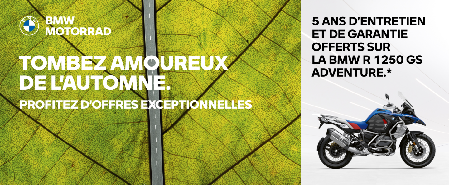 TOMBER AMOUREUX DE L’AUTOMNE.