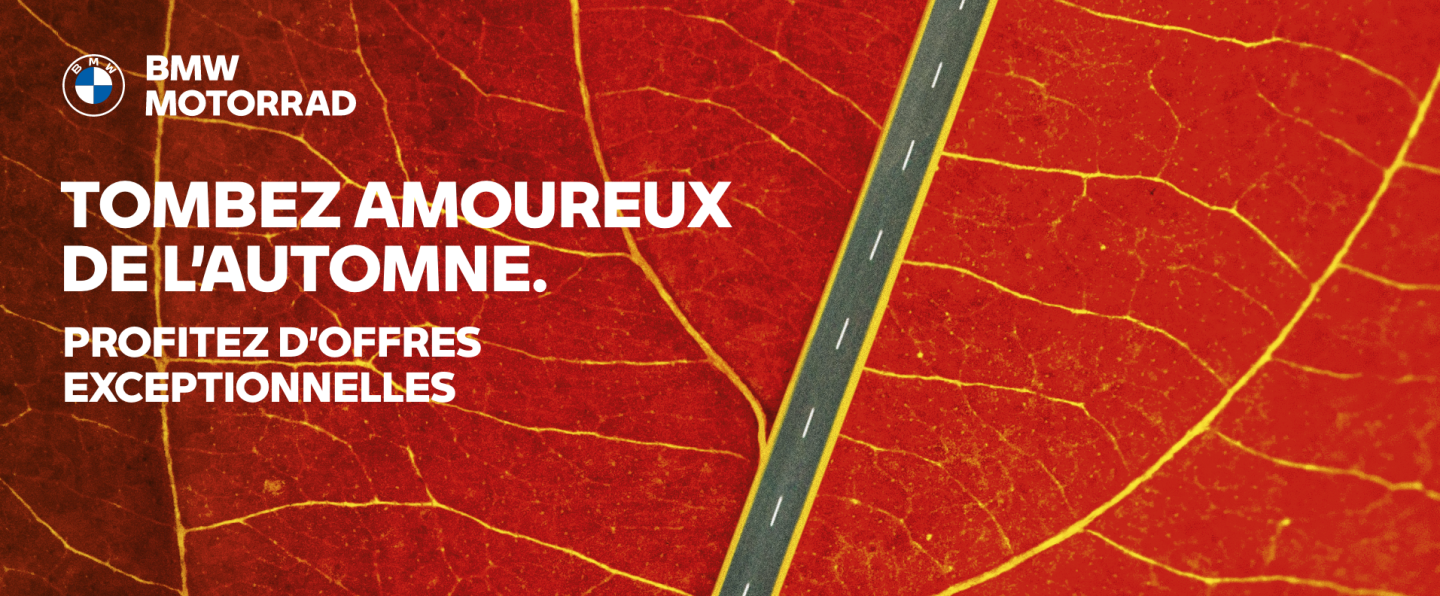 TOMBEZ AMOUREUX DE L'AUTOMNE.