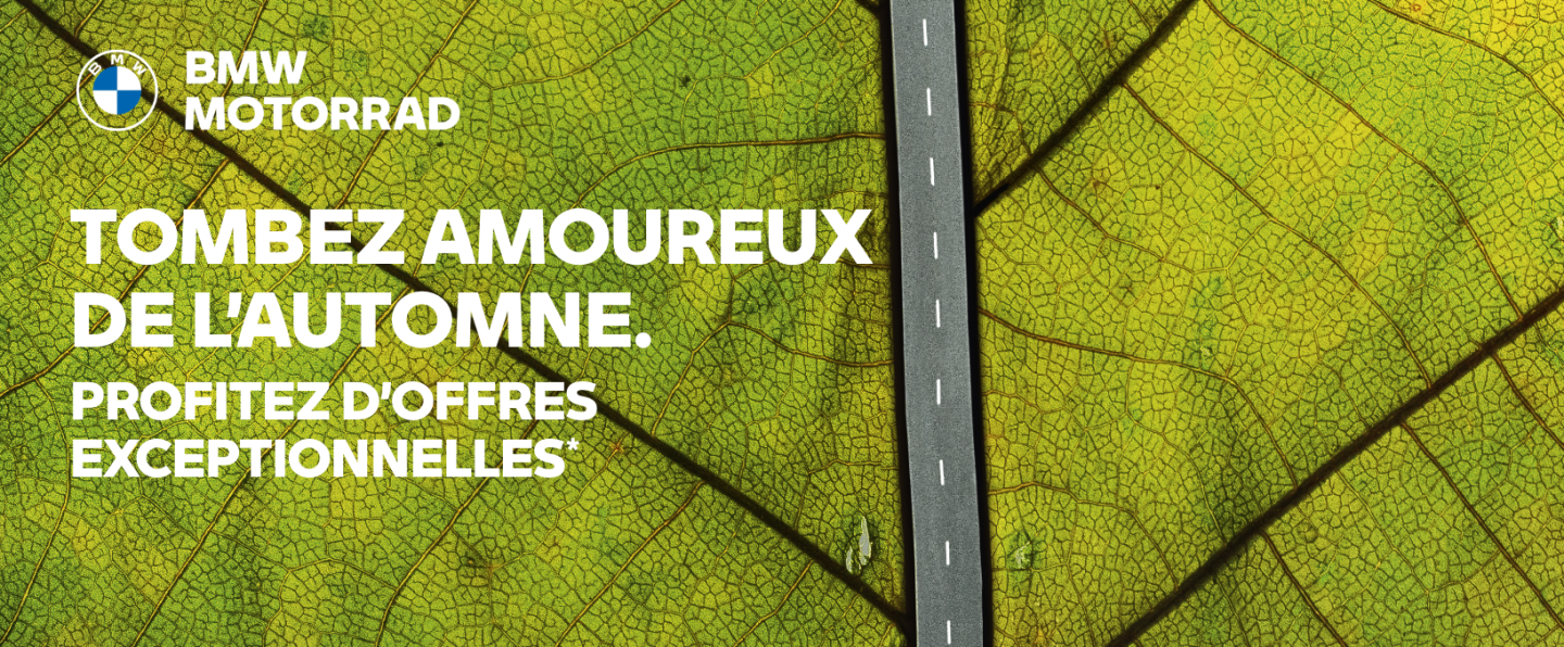 Tombez amoureux de l'automne !