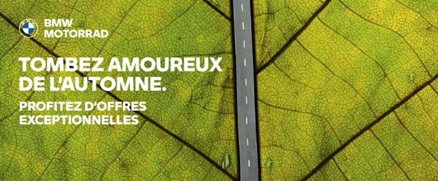 Tombez amoureux de l'automne.