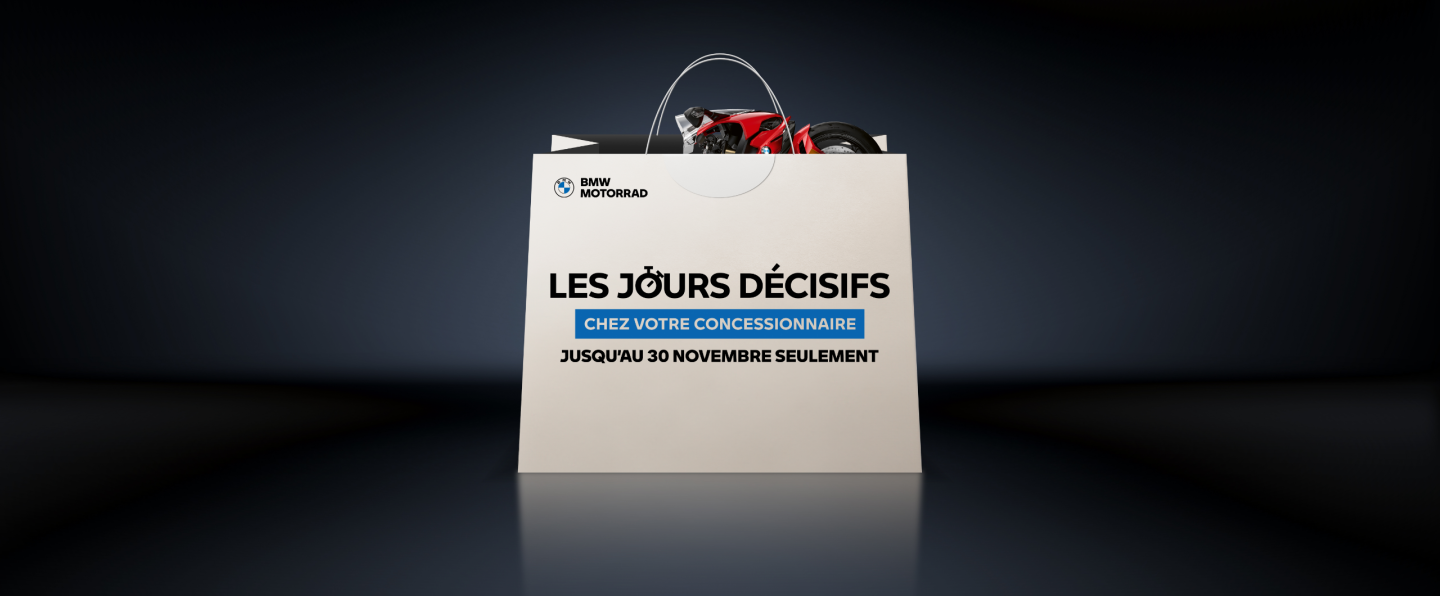 LES JOURS DÉCISIFS.