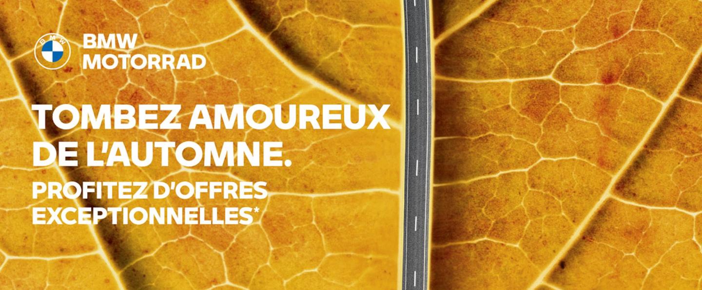 TOMBEZ AMOUREUX DE L’AUTOMNE.