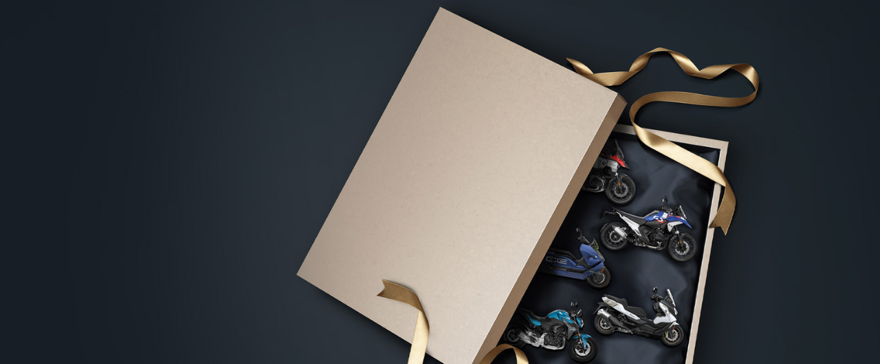 LES JOURS DÉCISIFS.